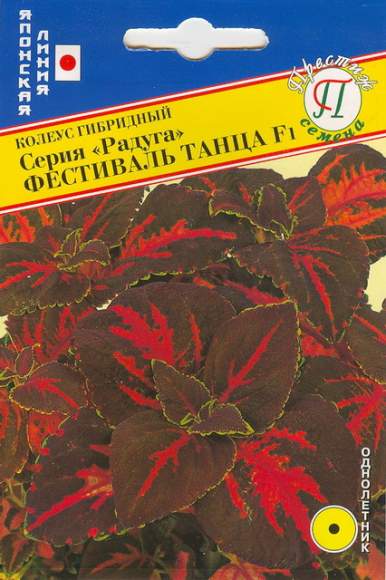 Колеус серия радуга Фестиваль танца F1 (престиж) 10шт  – купить в г. Москва