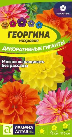 Георгина Декоративные гиганты (семена Алтая) 0,2гр 