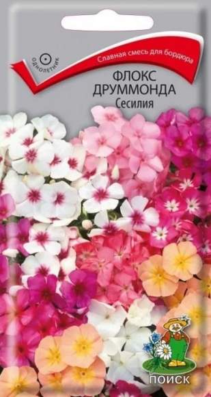 Флокс друммонда Сесилия (поиск) 0,3 гр   – купить в г. Москва