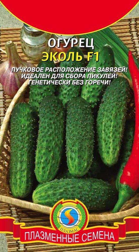 Сорт Огурца Эколь Отзывы Фото