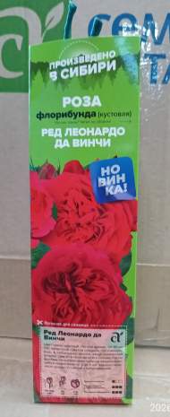 Роза Алтай флорибунда (кустовая) Ред Леонардо да Винчи 1 шт Роза Алтай флорибунда (кустовая) Ред Леонардо да Винчи 1 шт