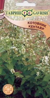 Котовник Кентавр (г) 0,1гр Котовник Кентавр (г) 0,1гр