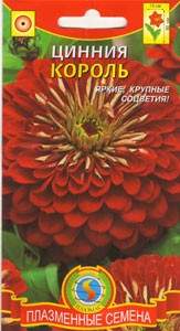 Цинния Король (плазмас) 0,3гр