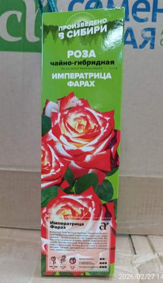 Роза Алтай чайно-гибридная Императрица Фарах 1шт – купить в г. Москва Роза Алтай чайно-гибридная Императрица Фарах 1шт – купить в г. Москва