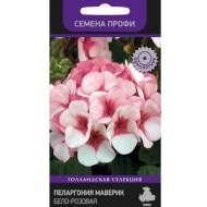 Пеларгония Маверик бело-розовая (поиск) 5 шт
