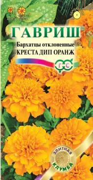 Бархатцы Креста дип оранж (гавриш) 7шт Бархатцы Креста дип оранж (гавриш) 7шт