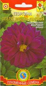 Купить Георгина Опера темно-лиловая (п) 10шт с доставкой курьером и ...