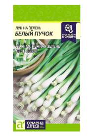 Лук на зелень Белый пучок (семена Алтая) 0,3гр Лук на зелень Белый пучок (семена Алтая) 0,3гр