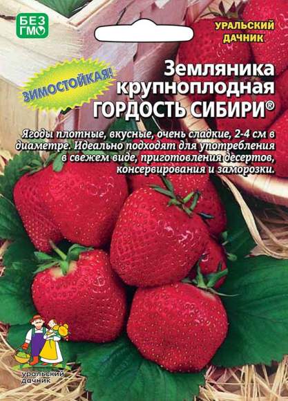 Земляника крупноплодная Гордость Сибири (уральский дачник) 10шт 