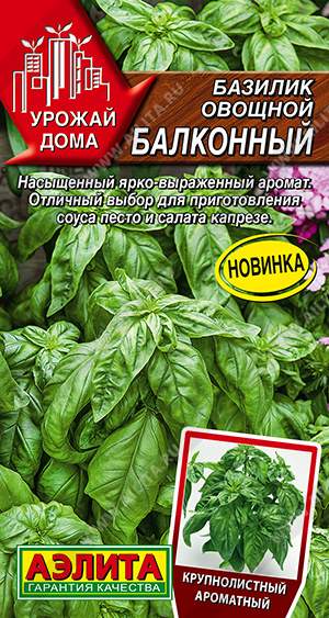 Базилик Балконный (аэлита) 0,2 гр – купить в г. Москва Базилик Балконный (аэлита) 0,2 гр – купить в г. Москва