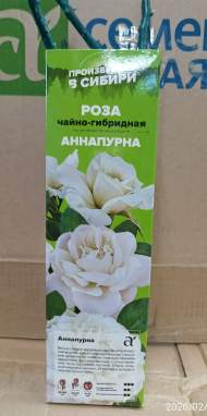 Роза Алтай чайно-гибридная Аннапурна 1шт Роза Алтай чайно-гибридная Аннапурна 1шт