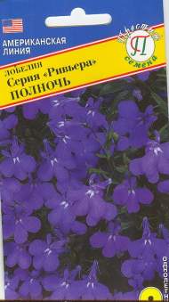 Лобелия Полночь (серия Ривьера) (престиж) 5шт Лобелия Полночь (серия Ривьера) (престиж) 5шт