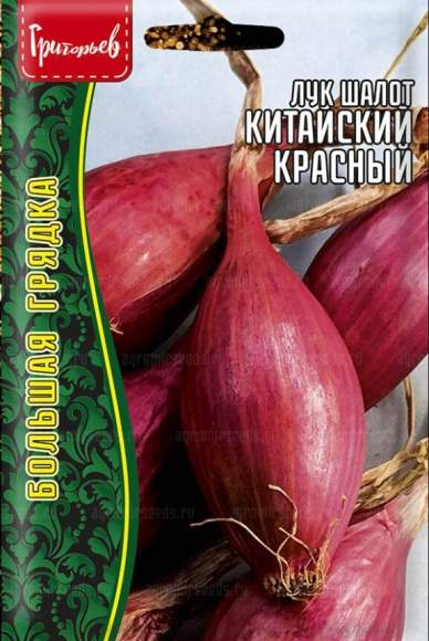 Лук-шалот Китайский красный (Григорьев) 0,2 гр  – купить в г. Москва