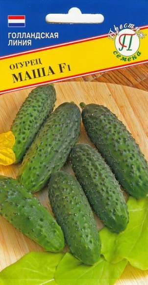 Огурец Маша F1 (престиж) 5 шт (seminis) Огурец Маша F1 (престиж) 5 шт (seminis)