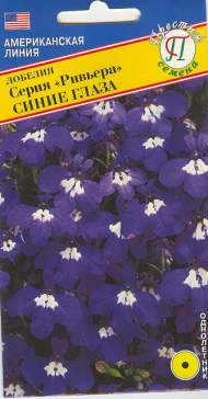 Лобелия Синие глаза (серия Ривьера) (престиж) 5 шт