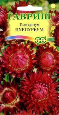 Гелихризум Пурпуреум (гавриш) 0,1гр Гелихризум Пурпуреум (гавриш) 0,1гр