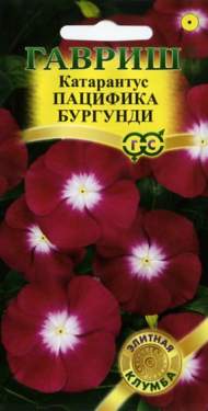 Катарантус Пацифика бургунди (гавриш) 5шт Катарантус Пацифика бургунди (гавриш) 5шт