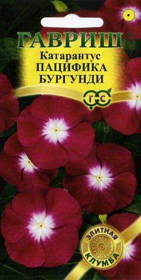 Катарантус Пацифика бургунди (гавриш) 5шт 