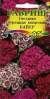 Гвоздика Байер турецкая махровая (гавриш) 0,1гр  – купить в г. Москва