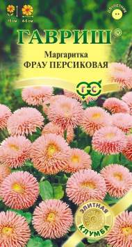 Маргаритка Фрау персиковая (гавриш) 4шт 