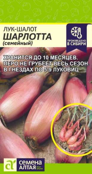 Лук-шалот Шарлотта (семена Алтая) 0,3гр 