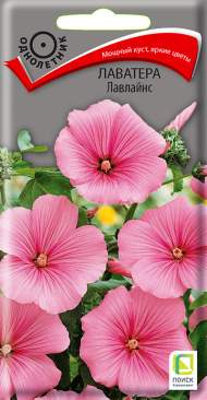 Лаватера Лавлайнс (поиск) 0,3гр Лаватера Лавлайнс (поиск) 0,3гр