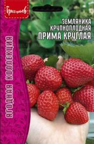 Земляника крупноплодная Прима Круглая (Григорьев) 20 шт Земляника крупноплодная Прима Круглая (Григорьев) 20 шт