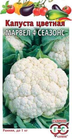 Капуста цветная Марвел 4 сеазонс (гавриш) 0,3 гр  – купить в г. Москва