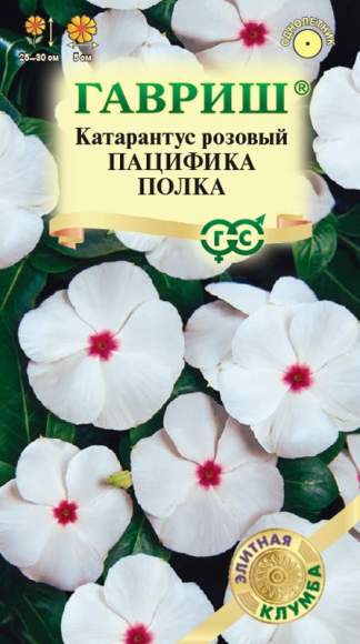 Катарантус Пацифика полка (гавриш) 5шт  – купить в г. Москва
