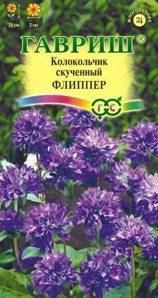 Колокольчик скученный Флиппер (гавриш) 0,01 гр Колокольчик скученный Флиппер (гавриш) 0,01 гр