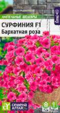 Сурфиния Бархатная роза F1 (семена Алтая) 5шт