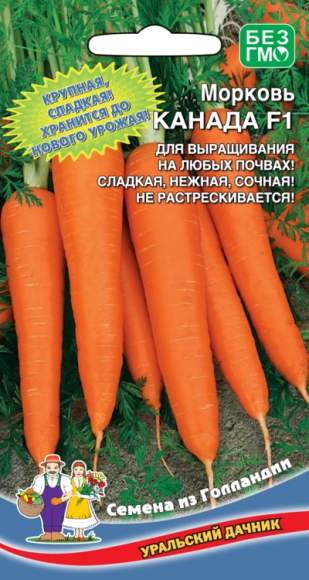 Морковь Канада F1 (уральский дачник) 150шт 