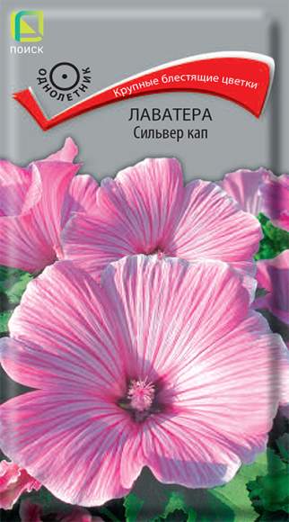 Лаватера Сильвер кап (поиск) 0,3гр 