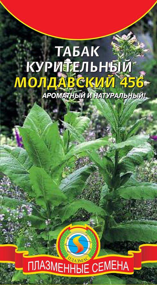 Магазины Семян Табака Курительного